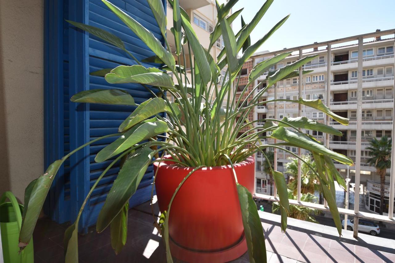 Le Gambetta Apartment Toulon Exterior photo